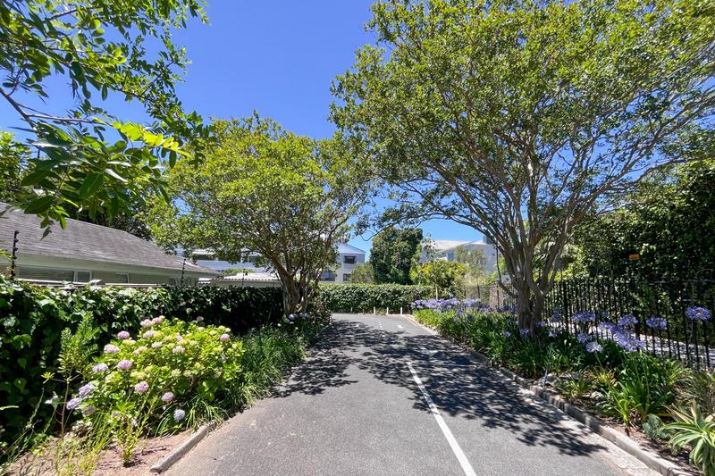 To Let 3 Bedroom Property for Rent in Kenilworth Upper Western Cape